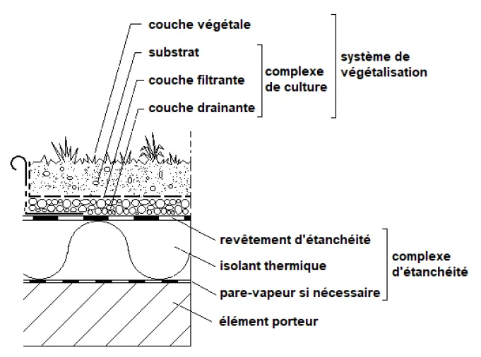 Schéma d'un complexe de culture sur toiture